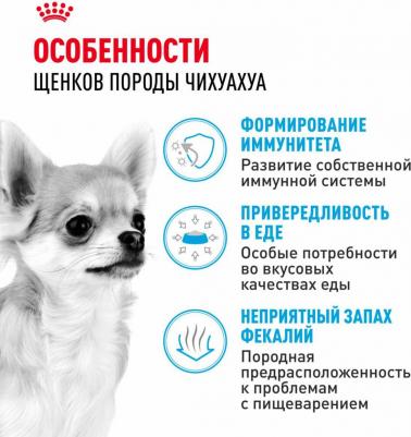 Корм для щенков Chihuahua Puppy для породы Чихуахуа до 8 месяцев сух. 1,5кг – фото 9