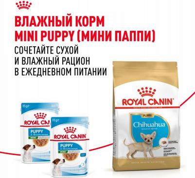Корм для щенков Chihuahua Puppy для породы Чихуахуа до 8 месяцев сух. 1,5кг – фото 17
