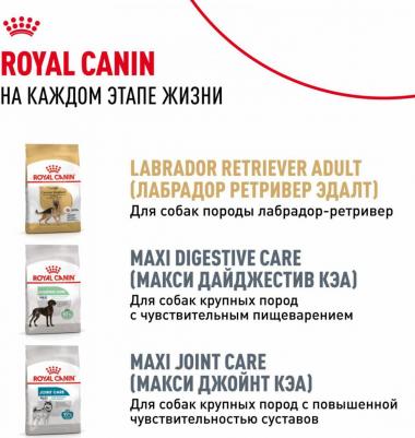 Корм для щенков Labrador Retriever Puppy для породы Лабрадор до 15 месяцев сух. 12кг – фото 1