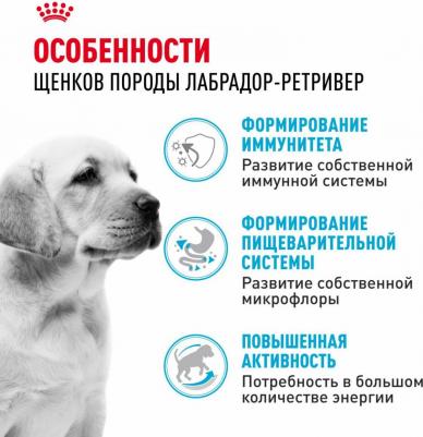 Корм для щенков Labrador Retriever Puppy для породы Лабрадор до 15 месяцев сух. 12кг – фото 2