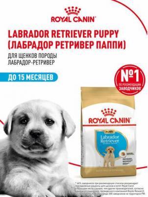 Корм для щенков Labrador Retriever Puppy для породы Лабрадор до 15 месяцев сух. 12кг – фото 13