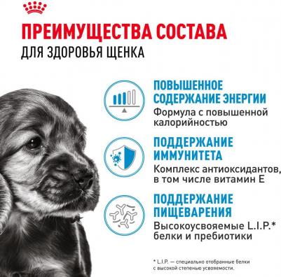 Корм для щенков Mini для мелких пород до 10 месяцев, кусочки в соусе пауч 85г – фото 9