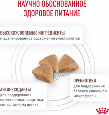 Корм для щенков Vet Diet Gastro Intestinal Junior GIJ29 при наруш. пищеварения, птица сух. 2,5кг – фото 1