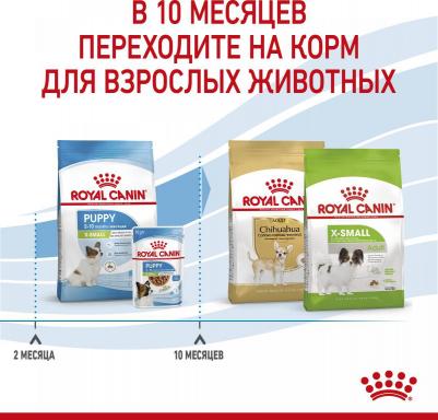 Корм для щенков X-Small Puppy для миниатюрных пород до 10мес. сух. 500г – фото 10