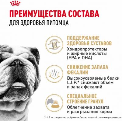 Корм для собак Bulldog для породы Английский Бульдог старше 12 месяцев сух. 3кг – фото 1