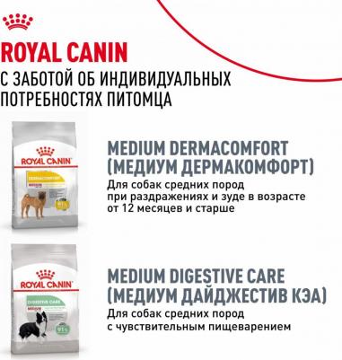 Корм для собак Bulldog для породы Английский Бульдог старше 12 месяцев сух. 3кг – фото 9