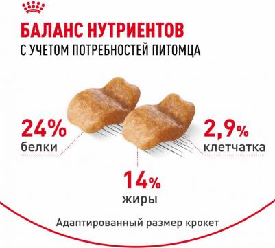 Корм для собак Bulldog для породы Английский Бульдог старше 12 месяцев сух. 3кг – фото 16