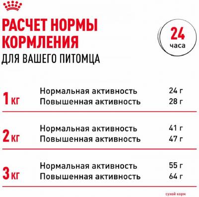 Корм для собак Chihuahua 28 для породы Чихуахуа старше 8 месяцев сух. 500г – фото 5