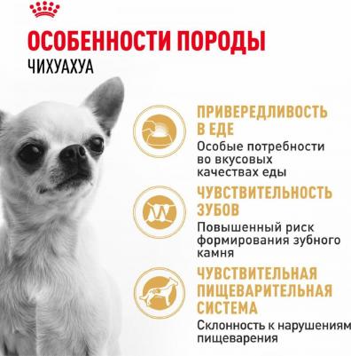 Корм для собак Chihuahua 28 для породы Чихуахуа старше 8 месяцев сух. 500г – фото 9