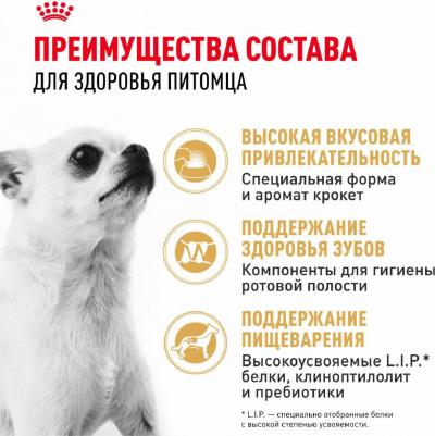 Корм для собак Chihuahua 28 для породы Чихуахуа старше 8 месяцев сух. 500г – фото 16