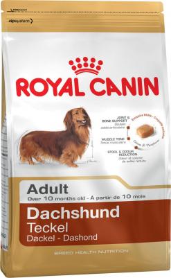 Корм для собак Dachshund 28 для породы Такса старше 10 месяцев сух. 1,5кг – фото 7