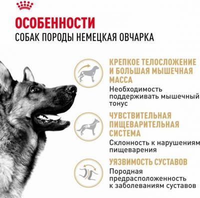Корм для собак German Shepherd 24, вес 3 кг – фото 16