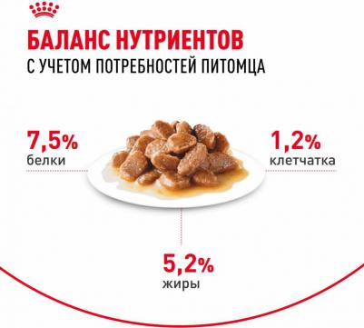 Корм для собак Mini для мелких пород от 10 месяцев, кусочки в соусе пауч 85г – фото 3