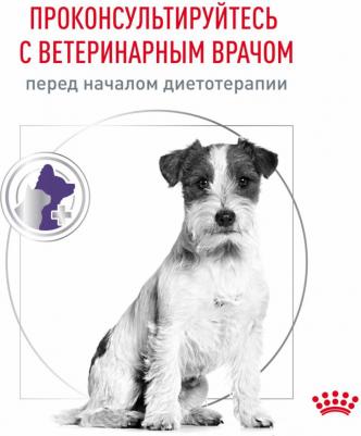 Корм для собак Neutered Adult Small Dog для кастрированных собак мелких пород, птица сух. 800г – фото 12