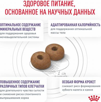 Корм для собак Neutered Adult Small Dog для кастрированных собак мелких пород, птица сух. 800г – фото 13