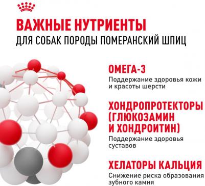 Корм для собак Pomeranian для породы Померанский шпиц старше 8 месяцев сух.500г – фото 1