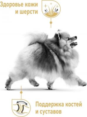 Корм для собак Pomeranian для породы Померанский шпиц старше 8 месяцев сух.500г – фото 3