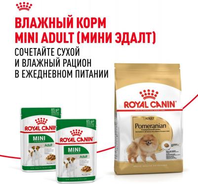 Корм для собак Pomeranian для породы Померанский шпиц старше 8 месяцев сух.500г – фото 12