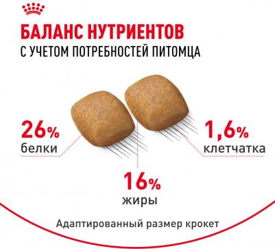 Корм для собак Pomeranian для породы Померанский шпиц старше 8 месяцев сух.500г – фото 19