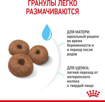 Корм для собак Size Giant Starter для щенков до 2 месяцев,беременных и кормящих сук гиганских пород от 45кг сух. 15кг – фото 6
