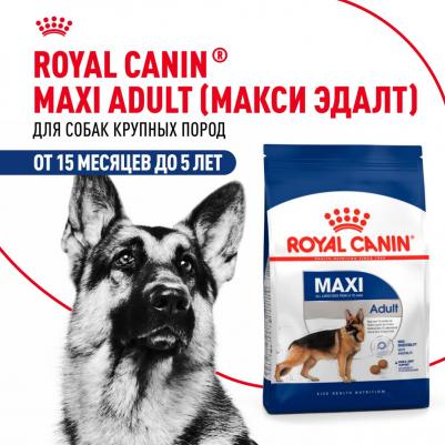 Корм для собак Size Maxi Adult для крупных пород сух. 3кг – фото 20