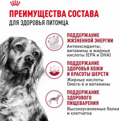 Корм для собак Size Medium Adult 7+ для средних пород от 7 до 10 лет сух. 4кг – фото 2