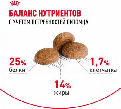 Корм для собак Size Medium Adult 7+ для средних пород от 7 до 10 лет сух. 4кг – фото 9