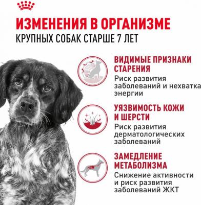 Корм для собак Size Medium Adult 7+ для средних пород от 7 до 10 лет сух. 4кг – фото 17