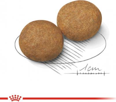 Корм для собак Size Medium Adult для средних пород сух. 3кг – фото 13