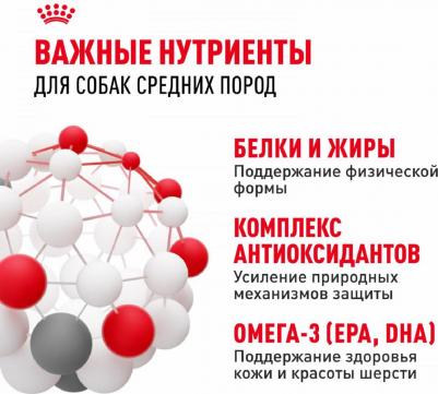 Корм для собак Size Medium Adult для средних пород сух. 3кг – фото 16