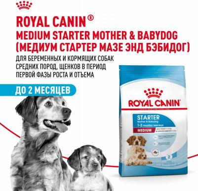 Корм для собак Size Medium Starter для щенков средних пород до 2х мес., беременных и кормящих сук сух. 4кг – фото 5