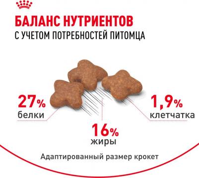 Корм для собак Size Mini Adult для мелких пород с 10 месяцев до 8 лет сух. 800г – фото 5