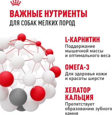 Корм для собак Size Mini Adult для мелких пород с 10 месяцев до 8 лет сух. 800г – фото 16