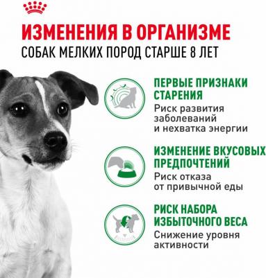 Корм для собак Size Mini Adult +8 для мелких пород старше 8 лет сух. 2кг – фото 13