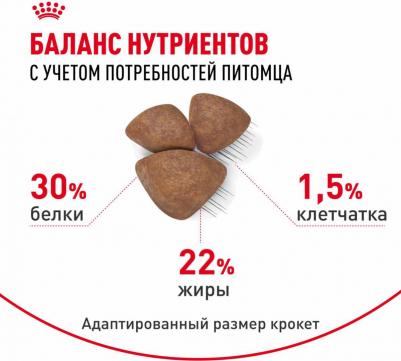 Корм для собак Size Mini Starter для щенков до 2х месяцев,беременных и кормящих сук сух. 1кг – фото 9