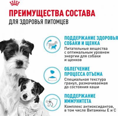 Корм для собак Size Mini Starter для щенков до 2х месяцев,беременных и кормящих сук сух. 1кг – фото 15