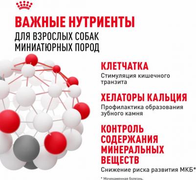 Корм для собак Size X-Small Adult для миниатюрных пород от 10 месяцев до 8 лет сух. 500г – фото 4