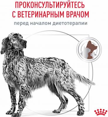 Корм для собак Vet Diet Gastro Intestinal Low Fat LF22 при нарушении пищеварения, птица сух. 1,5кг – фото 18