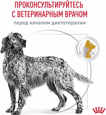 Корм для собак Vet Diet Urinary S/O LP18 при мочекаменной болезни сух. 2кг – фото 6