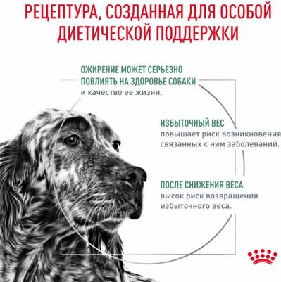 Корм для собак Vet Diet Weight Management CAT30 при ожирении сух. 1,5кг – фото 20