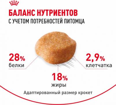 Корм для собак Yorkshire Terrier 28 для породы Йоркширский терьер старше 10 мес., птица сух. 3кг – фото 18