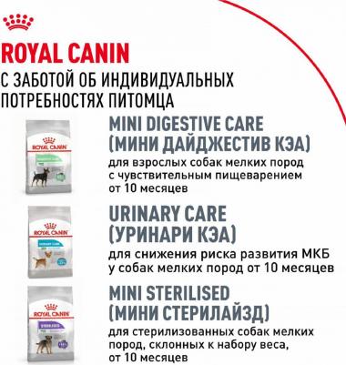 Корм сухой "Chihuahua", для собак породы чихуахуа старше 8 месяцев, 3 кг – фото 13