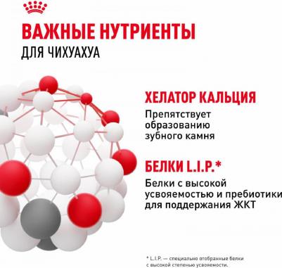 Корм сухой "Chihuahua", для собак породы чихуахуа старше 8 месяцев, 3 кг – фото 20