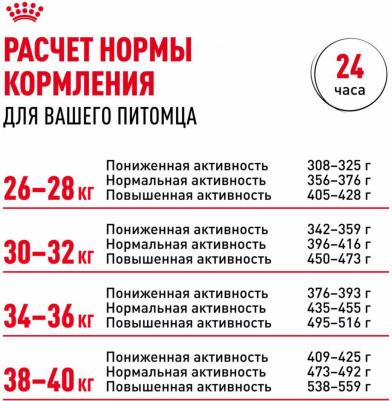 Корм сухой Labrador Retriever Adult, для собак породы лабрадор ретривер старше 15 месяцев, 12 кг – фото 7