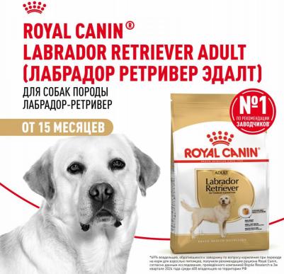 Корм сухой Labrador Retriever Adult, для собак породы лабрадор ретривер старше 15 месяцев, 12 кг – фото 10