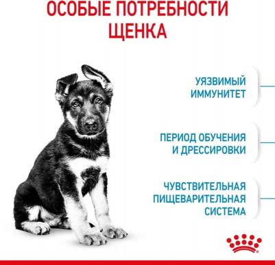 Корм сухой "Maxi Junior", для щенков собак крупных размеров в возрасте до 15 месяцев, 15 кг – фото 4