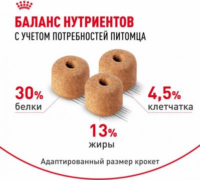 Labrador Retriever Adult корм для собак породы лабрадор – фото 11