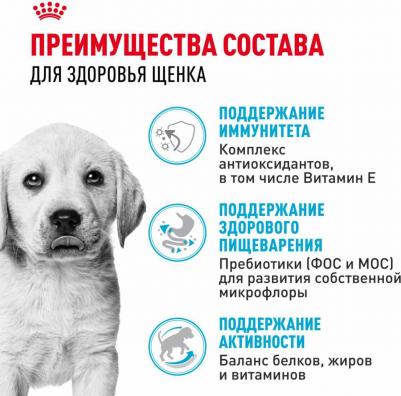 Labrador Retriever Puppy для щенков породы лабрадор (Курица, 3 кг.) – фото 14