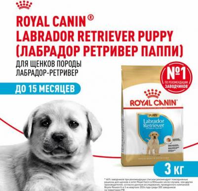 Labrador Retriever Puppy для щенков породы лабрадор (Курица, 3 кг.) 4627109383856 – фото 7