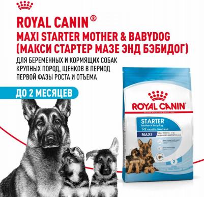 Maxi Starter для щенков до 2 месяцев, беременных и кормящих сук крупных пород – фото 9